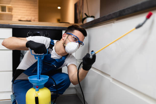 Best Wildlife Control Services  in Locust Grove, GA