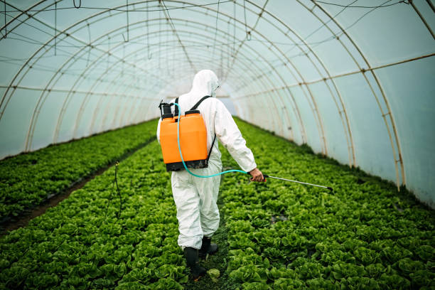 Best Best Pest Control Companies  in Locust Grove, GA