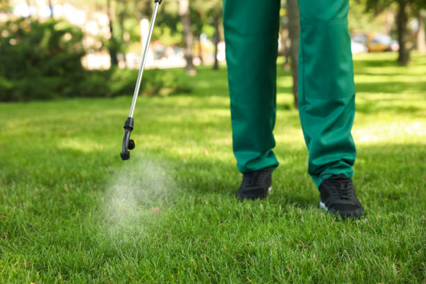 Best Pest Prevention Services  in Locust Grove, GA