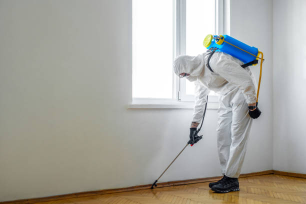 Wildlife Control Services in Locust Grove, GA