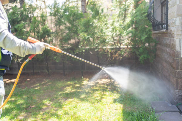 Best Termite Control Services  in Locust Grove, GA