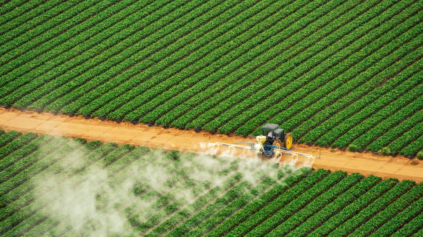 Pest Prevention Services in Locust Grove, GA
