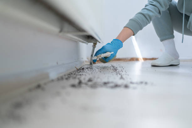 Best Pest Removal Services  in Locust Grove, GA