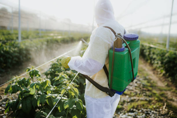 Professional Pest Control in Locust Grove, GA